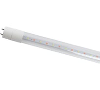 Светодиодная лампа для подсветки мясных продуктов FERON LB-214 G13 18W 38217