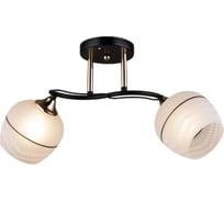 Потолочная люстра IMEX MD.QH-0061-2 BK
