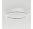 Светильник Arlight SP-LINE-HANG-ARC-O3535-D800-54W Day4000, 1шт 034008(2) 1