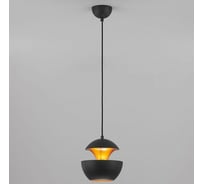 Подвесной светильник Eurosvet 50170 1 черный a044859