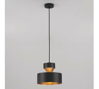 Подвесной светильник Eurosvet 50171 1 черный a044860