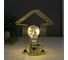 Ночник RISALUX лофт 16459/1 LED от батареек 3хАА золото 10х10х20 см 5486690 2