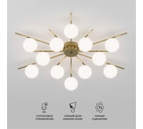 Умный потолочный светильник Eurosvet Sabina под лампочку G9, со стеклянными плафонами 302001/12 латунь a072017