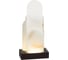 Настольная лампа ODEON LIGHT LED 12W FOROS 5438/12TL 2