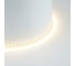 Лента светодиодная FERON 120SMD(2835)/м 11Вт/м 24V 5000х5х1.5мм 3000K, LS505 , 53054 6