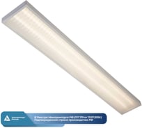 Аварийный светильник ВСЕСВЕТОДИОДЫ МАКСИ VS251 40W, 4400Lm, 4000К, МИКРОПРИЗМА IP40 с БАП (vsesv) на 1 час vs251-40-mpr-4k-li1h