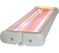 Светильник Экоэл -ЛУЧ-60.3К+BR.Д.IP54-570.ПКП.ЭК.ФИТО 02-00009608