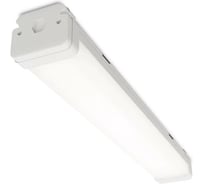 Светильник WOLTA Pro НеоПРОМ с БАП ЕМ1 матовый ДСП05-18-041-4К