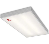 Светильник WOLTA Pro ОФИС с БАП ЕМ1 матовый ДВО01-18-241-4К-90