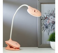 Настольная лампа RISALUX на прищепке 16094/1P LED 4Вт 3 режима 3000-6000K USB АКБ МИКС 9х13х49 см 5091611
