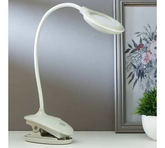 Настольная лампа RISALUX на прищепке 16094/1P LED 4Вт 3 режима 3000-6000K USB АКБ МИКС 9х13х49 см 5091611