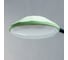 Настольная лампа RISALUX 16480/1 LED 3Вт USB МИКС 7,7х11,5х34 см 5503298 7