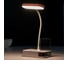 Настольная лампа RISALUX сенсорная 16481/1 LED 5Вт USB АКБ МИКС 8,5х13х32 см 5503301 6