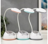 Настольная лампа RISALUX c АКБ 16217/1 20хLED 4Вт 3000/6000К USB МИКС 10,8х10,8х43,5 см 5249063