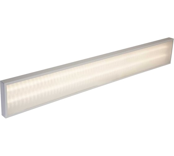 Аварийный светильник ВСЕСВЕТОДИОДЫ МАКСИ VS251 40Вт, 3300Лм, 4000К, ОПАЛ IP40 с БАП (vsesv) на 1 час vs251-40-op-4k-li1h