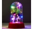 Ночник RISALUX Первая любовь LED от батареек 3ААА МИКС 8х8х13 см 5091646 1