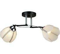 Потолочная люстра IMEX MD.QH-0066-2 BK