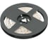 Лента светодиодная GTV FLASH 2835, 600 LED, 12V,IP20,60W,10 мм,5 м, 2 провода, цвет нейтральный белый LD-2835-600-20-NE4 1