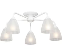 Люстра Vitaluce V3946-0/5PL