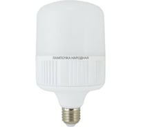 Светодиодная лампа TDM ELECTRIC T 30 Вт, 230 В, 4000 К, E27 (100x165 мм) SQ0340-0352