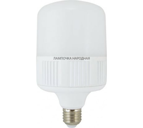 Светодиодная лампа TDM ELECTRIC T 30 Вт, 230 В, 6500 К, E27 (100x165 мм) SQ0340-0353