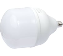 Светодиодная лампа TDM ELECTRIC T 60 Вт, 230 В, 4000 К, E27 (160x268 мм) SQ0340-0358