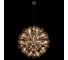 Подвесной светильник LOFT IT Taraxacum 10470/800 6