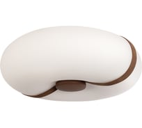 Потолочный светодиодный светильник LOFT IT Bolina 10473