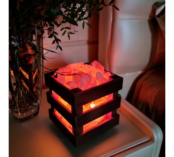 Солевая лампа Wonder Life "WOOD" SLL-12070-W1