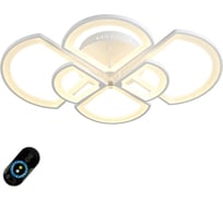 Потолочный светодиодный светильник Omnilux OML-49207-144