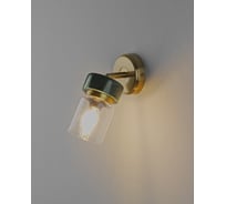 Спот Moderli Almero золотой, зеленый, прозрачный V11821-1W