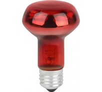 Комплект из 2-х инфракрасных ламп ЭРА ИКЗК 230-60 R63 E27 для курятника цыплят птиц животных/лампа для обогрева Б0072848
