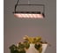 Фитопрожектор для растений светодиодный ЭРА GREEN LINE FITO-200W-Ra90-LED-Y-GR полного спектра 200 Вт Б0069870 9