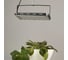 Фитопрожектор для растений светодиодный ЭРА GREEN LINE FITO-200W-Ra90-LED-Y-GR полного спектра 200 Вт Б0069870 10