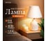 Настольная лампа Rivoli Muriel 7550-501 1 х Е14 40 Вт керамика белая с абажуром Б0070136 8
