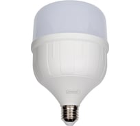 Универсальная высокомощная светодиодная лампа General Lighting Systems E27, энергоэффективная лампочка – Цилиндр, световой поток 5300 лм (люмен), мощность 65 Вт, холодный белый 6500К 660008