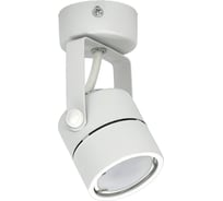 Накладной поворотный светильник DzivaTek GU10 D60xH140 IP20 белый/металл 61344