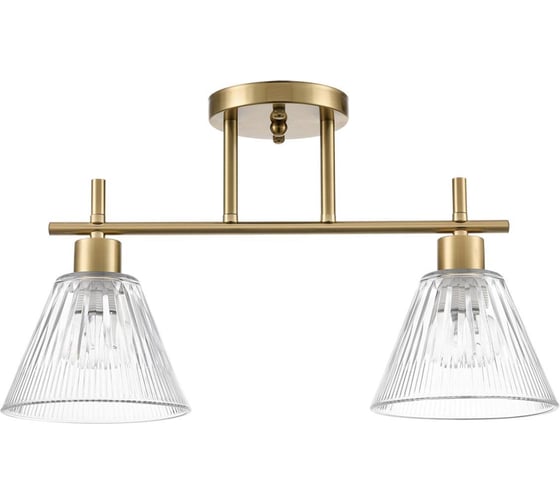 Люстра потолочная Lumion VIVIAN E27 2х60 Вт 8188/2C 1