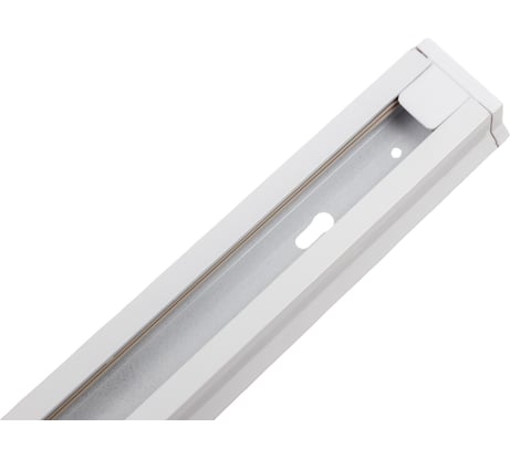 Шинопровод ЭРА TR6-R 2W-1 WH 1 метр 20/1120 Б0032170