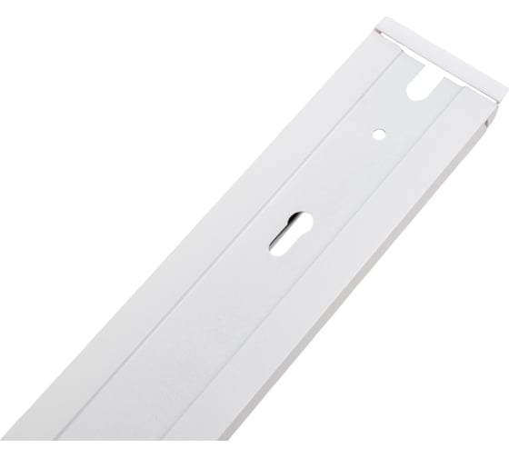 Шинопровод ЭРА TR6-R 2W-1 WH 1 метр 20/1120 Б0032170