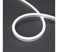 Лента герметичная Arlight MOONLIGHT-PRO-SIDE-X320-12x17mm 48V White6000 Arligh 30м 061051