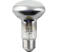 Лампа накаливания ЭРА R6340W230E27 C0040648