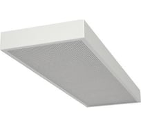 Светильник DIODEX Led Мед Арко 20Вт, 4000К, равномерный, белый, аварийный, 3 часа 4603789785883