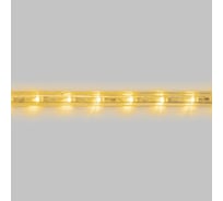 Дюралайт LED двухжильный Neon-Night 24В 13мм 36 LED/м теплый белый постоянное свечение модуль 0,5м бухта 100м 121-166