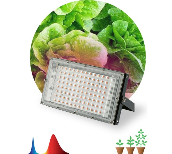Светодиодный фитопрожектор для растений ЭРА FITO-80W-RB-LED-Y красно-синего спектра, Б0053082