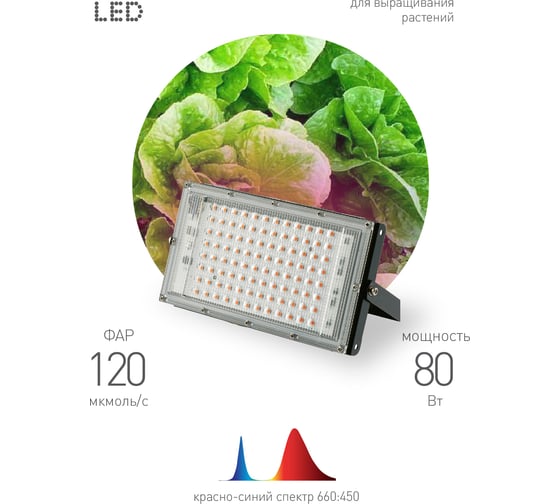 Светодиодный фитопрожектор для растений ЭРА FITO-80W-RB-LED-Y красно-синего спектра, Б0053082