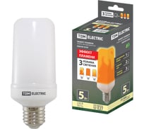 Светодиодная лампа TDM ELECTRIC "Эффект пламени" Т65-5 Вт-230 В-1500 К-E27 65х138 SQ0340-0339
