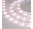 Светодиодная лента Arlight RT-B60-10mm 24V RGBW-White 5м 018325(3) 2