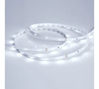 Светодиодная лента Arlight RT-A30-8mm 24V Cool 8K 5м 019916(2)
