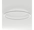 Светильник Arlight SP-LINE-HANG-ARC-O3535-D1500-102W Day4000 1шт 034013(3) 1